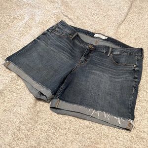 Torrid Denim Cutoff Shorts